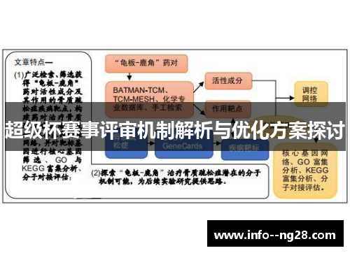超级杯赛事评审机制解析与优化方案探讨